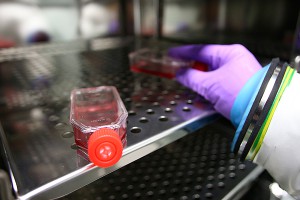 Россиянку посадили в спецбокс из-за Эболы Россиянку посадили в спецбокс из-за Эболы