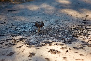 Эксперты в шоке от военных методов Киева Эксперты в шоке от военных методов Киева