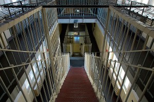 Сына депутата посадили в камеру с убийцами Сына депутата посадили в камеру с убийцами