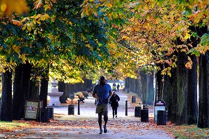 Директора лучших парков обменяются опытом Директора лучших парков обменяются опытом