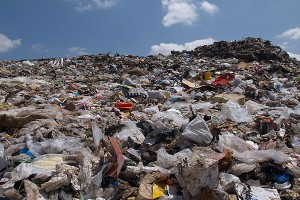 Отрезанную ногу человека бросили на свалке Отрезанную ногу человека бросили на свалке