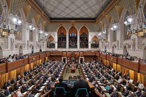 В канадском парламенте устроили бойню В канадском парламенте устроили бойню