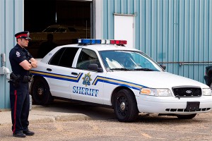 На складе нашли тела шести младенцев На складе нашли тела шести младенцев