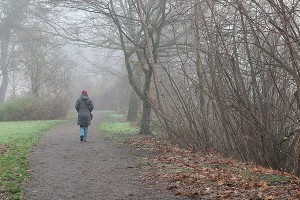 Выходные порадуют москвичей потеплением Выходные порадуют москвичей потеплением