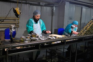 ФМС нашла нелегалов среди консервов ФМС нашла нелегалов среди консервов