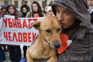 Суд не позволил сотрудникам ООО «Коллектор» убивать животных