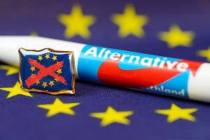 Страны-участницы грозят выйти из ЕС Страны-участницы грозят выйти из ЕС