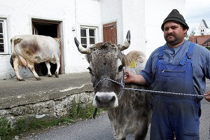 Латвийские фермеры: Мы отделены от Европы Латвийские фермеры: Мы отделены от Европы
