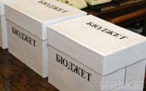 Чиновники: бюджет Брянской области в 2015 году составит 41,2 миллиарда рублей