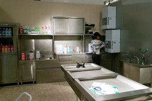 Британия проводит опыты над трупами людей Британия проводит опыты над трупами людей