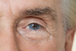 ������ ��������� ������������� ��������