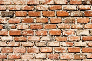 ���������� �������������� ���������� "�����"