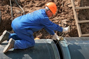 ������� ������ ������ �� �� "����� �����"