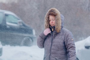 На Москву надвигается зима На Москву надвигается зима
