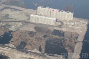 Чиновники незаконно разрешили вырубать Деснянский лесопарк