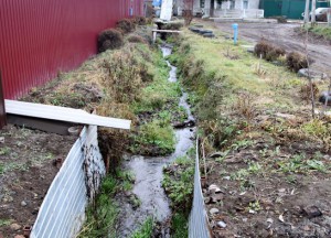 Бассейн «Динамо» заливает улицу Некрасова в Брянске