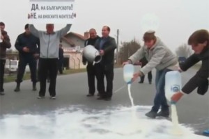 Болгарские фермеры залили дороги молоком Болгарские фермеры залили дороги молоком