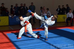 Брянские каратисты отличились на всероссийских соревнованиях