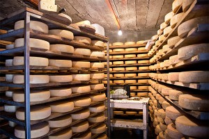 Итальянцы подсчитали потери от санкций Итальянцы подсчитали потери от санкций