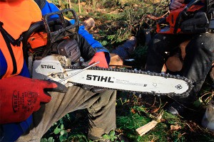 Мужчина вынес из магазина пилу в шортах Мужчина вынес из магазина пилу в шортах