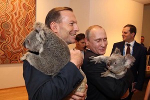 Фото Путина с коалой растрогало интернет Фото Путина с коалой растрогало интернет