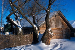 Супруги-староверы убили 7-летнюю дочь Супруги-староверы убили 7-летнюю дочь