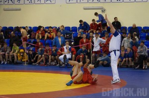 200 брянских спортсменов отметили Всероссийский день самбо