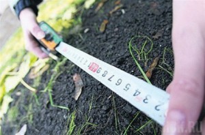 В Брянской области всего 36 процентов многодетных семей получили землю