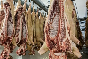 Россия запретила свинину из Черногории Россия запретила свинину из Черногории