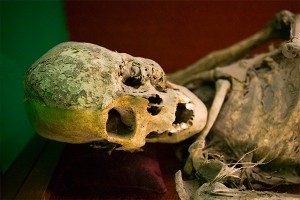 Дочь пять лет спала с умершей матерью Дочь пять лет спала с умершей матерью