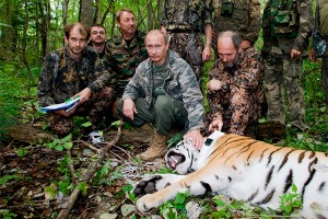 "Тигрица Путина" сделала первое селфи "Тигрица Путина" сделала первое селфи