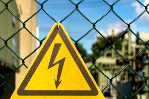 Кот оставил Симферополь без света Кот оставил Симферополь без света