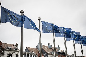 ЕС хочет предоставить Донбассу автономию ЕС хочет предоставить Донбассу автономию