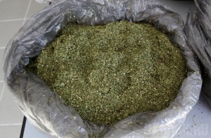 Украинец вез через Брянскую область четыре килограмма марихуаны