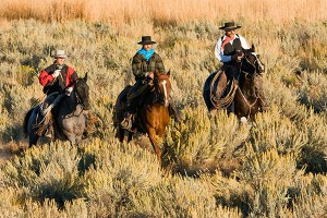 Нефтяной бум лишил Канаду ковбоев Нефтяной бум лишил Канаду ковбоев