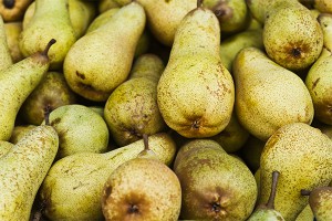 Российское эмбарго подорвало рынок груш ЕС Российское эмбарго подорвало рынок груш ЕС