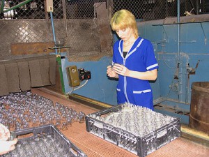 В Брянской области может появиться «Хрустальный город»