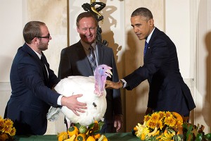 Обама отказался убивать индюков Обама отказался убивать индюков