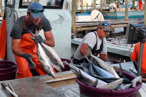 Санкции стали шоком для шотландских рыбаков Санкции стали шоком для шотландских рыбаков