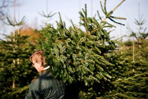 Госдума может урезать россиянам выходные Госдума может урезать россиянам выходные