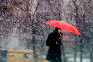 ���������� ���� �������� � ������