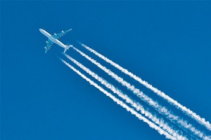 �������� ����� ������ ���� �� ������