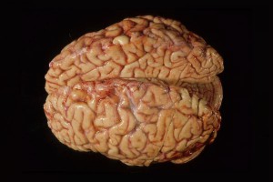 � ������ ������ ����� � ������ �������