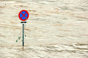 ������ � ������� ����� ����� � ���� �����