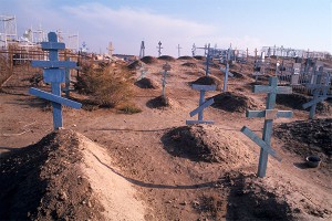 ������� ����� ������ � ���� ����