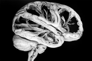 �������� ����� ��������� ������ � ���