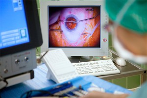 �������� �������� �������� ��������