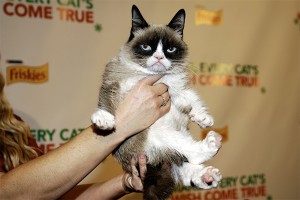 �������� ����� ������ ���������� $100 ���