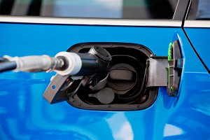 ��� ���� ���������� ������� ��� �� ������