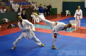 Брянские каратисты успешно выступили на Кубке Петра Великого